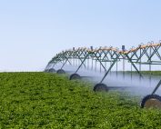 Center Pivot Crop Irrigation System For Farm Management