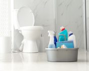 Eco-Clean-Bowl™ Is A Toilet Bowl Cleaning Tablet That Adds Probiotics To A Septic Safe Cleaning Formulation.