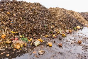 Adobestock 501128544.Second Section 3 - Cortec Corporation