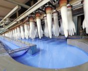 Bionetix International Bcp11™