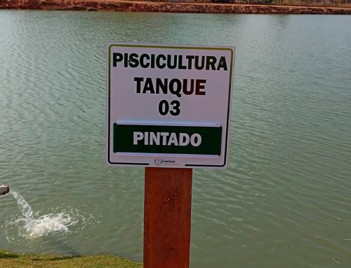 BIONETIX CASE HISTORY #064: Emergency Rescue of Fingerling Fish in Low Oxygen Pond (Login Required)