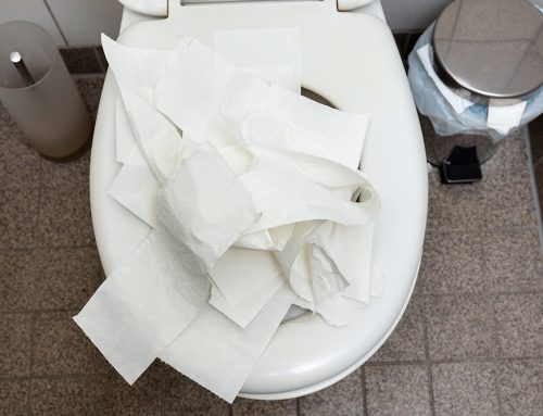 PRESS RELEASE: Bionetix® Highlights Enzyme-Based Technology for Managing Paper Accumulation in Drains, Toilets, and Septic Systems