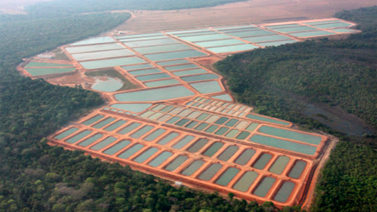 Bionetix Technologies Improve Fish Growth And Water Quality In Extended Aquaculture Trials Web - Cortec Corporation