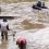 Bionetix Case History #063: Dramatic Sludge Reduction In Tilapia Aquaculture Pond (Login Required)