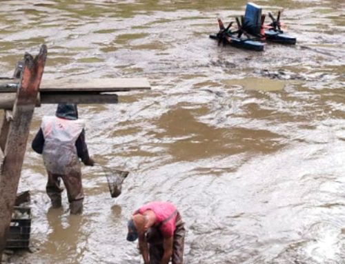 BIONETIX CASE HISTORY #063: Dramatic Sludge Reduction in Tilapia Aquaculture Pond (Login Required)