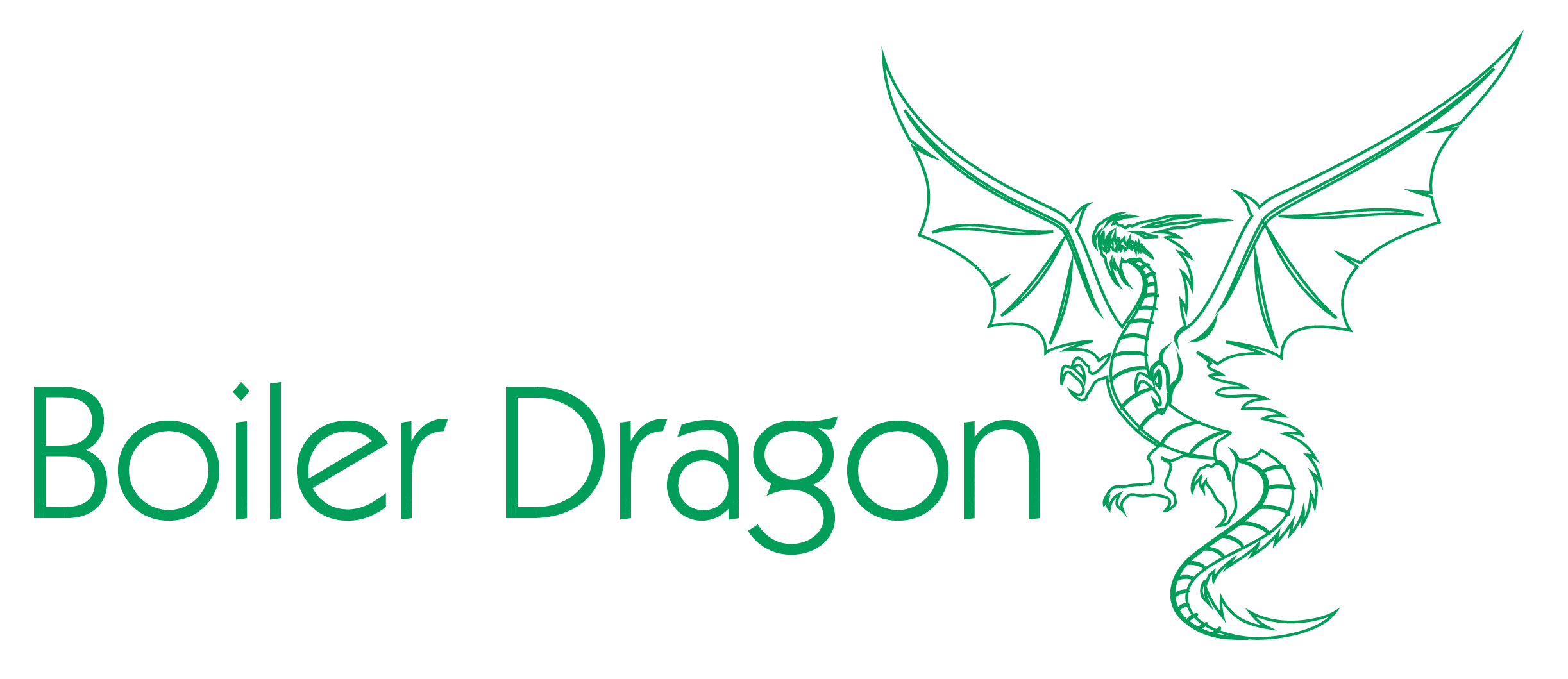 Boiler dragon logo