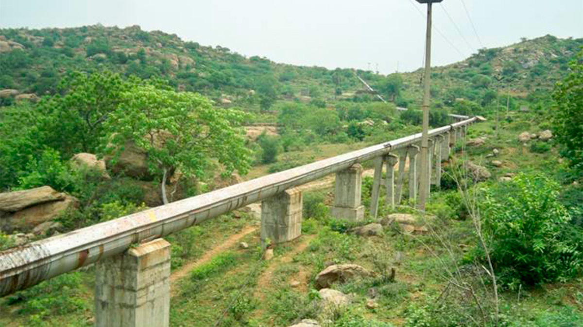 Ch Spotlight 463 Web - Cortec Corporation