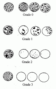 Image21 - Cortec Corporation