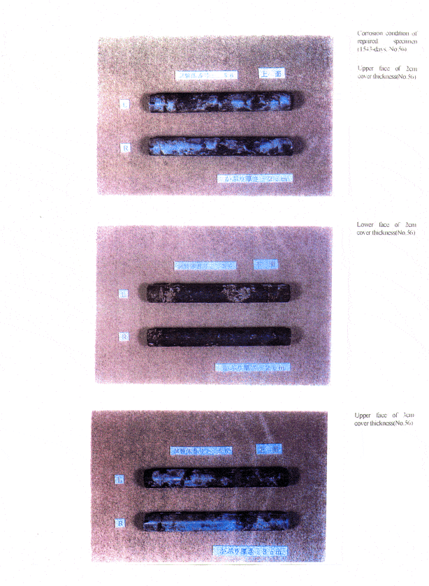 Mcitp3Ay 1 - Cortec Corporation