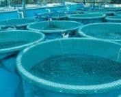 Aqua Feed - Cortec Corporation