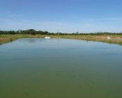 Bch 26 - Cortec Corporation