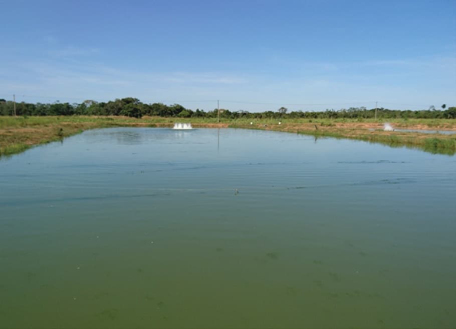 Bch 26 - Cortec Corporation