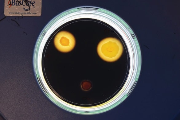 Bio Enzym - Cortec Corporation