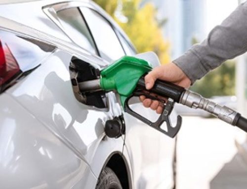 NEWS ALERT: The Key to Unlocking a Treasure Chest of Biofuel Resources