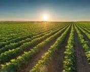 Bionetix Pr 2022 03 - Cortec Corporation