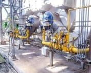 Boiler Dragon Fo - Cortec Corporation