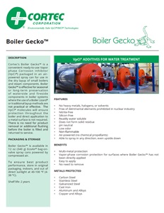 Boiler Gecko