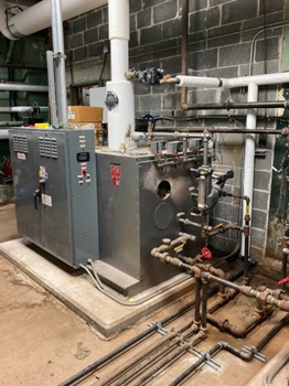 Boiler Lizard