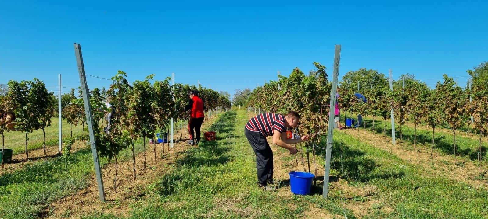 Boris Vinohaus 2 - Cortec Corporation