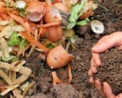 Compost2 - Cortec Corporation