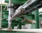 Cortec Corporation Cooling - Cortec Corporation