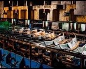 Cortec Fm - Cortec Corporation