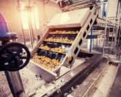 Cortec Picture Food - Cortec Corporation