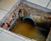 Eco Trap 21 10 - Cortec Corporation