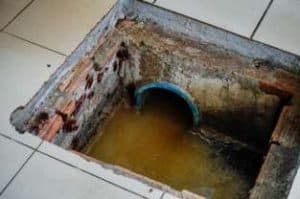 Eco Trap 21 10 - Cortec Corporation