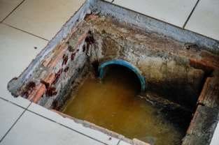 Eco Trap 21 10 - Cortec Corporation