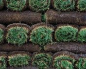 Eco Turf - Cortec Corporation
