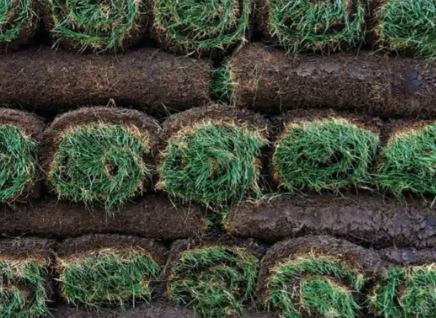 Eco Turf - Cortec Corporation