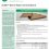 New Product Data Sheet: Ecobio™ Barrier Paper And Linerboard