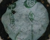 Ecocorr 1 - Cortec Corporation