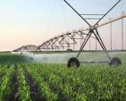 Ecoline Al Corr Pr - Cortec Corporation