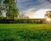 Green Grass Pr - Cortec Corporation