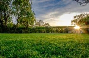 Green Grass Pr - Cortec Corporation