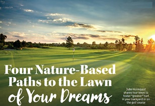 Green Lawn - Cortec Corporation