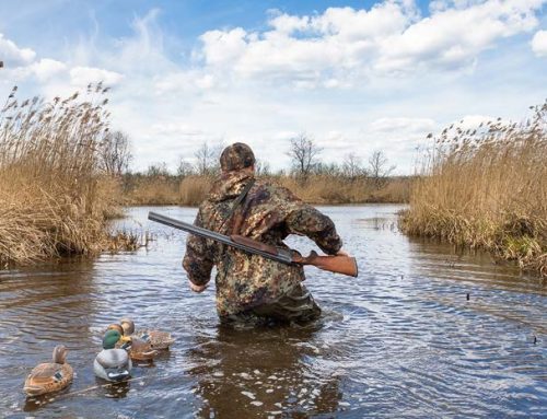 NEWS ALERT: Ready for Hunting Season? Keeping Rifles Rust-Free