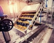 M 533 Fg Rp Na - Cortec Corporation