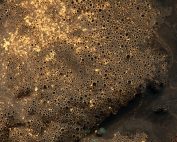 Pinholes Na - Cortec Corporation