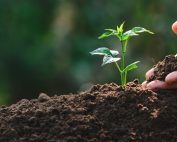 Plants - Cortec Corporation