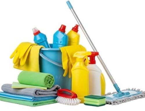 PRESS RELEASE: Attention Formulators: Get Ready to Unleash Nature’s Microscopic Cleanup Crew!