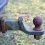News Alert: Rusty Trailer Hitches: Make Sure They Bear The Load!