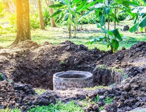 PRESS RELEASE: Bionetix® Calls for Global Action to Improve Septic System Sanitation with Advanced Biological Solutions