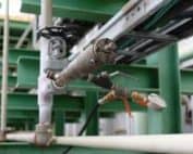 Vpci 641 Pr 2022 - Cortec Corporation