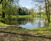 Improve Water Clarity Naturally With Aquaclar™ Plus