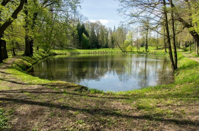 Improve Water Clarity Naturally with AQUACLAR™ PLUS