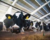 Water-Soluble Packaging